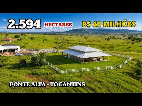 🔥 FAZENDA À VENDA NO TOCANTINS | 2594 HECTARES |  DUPLA APTIDÃO NA  REGIÃO DE PONTE ALTA