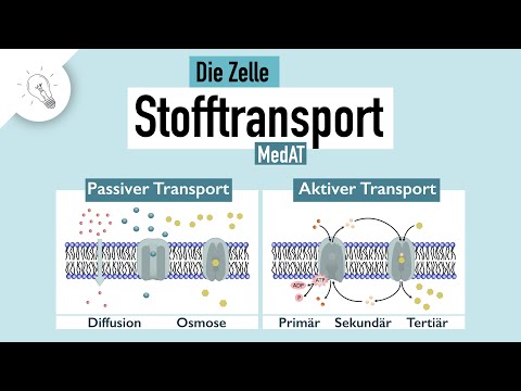 Stofftransport - Teil I: passiver & aktiver Transport | MedAT | Biologie