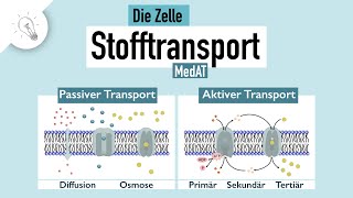 Stofftransport - Teil I: passiver & aktiver Transport | MedAT | Biologie