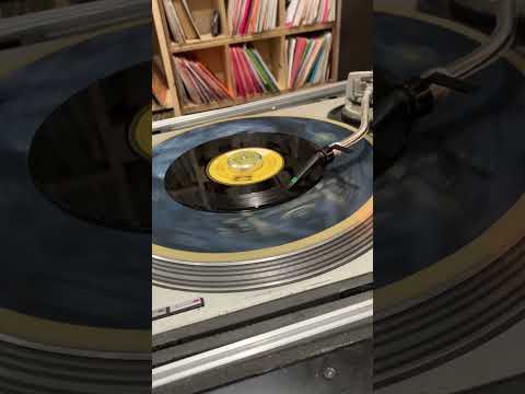 Vin Morgan - BINGHI  MAN