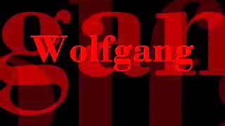 Darkness Fell - Wolfgang