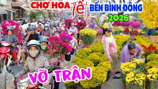Hoa RẺ vỡ trận Bến Bình Đông chợ hoa Tết Sài Gòn 2026/ Nghèo giàu tấp nập mua hoa Tết