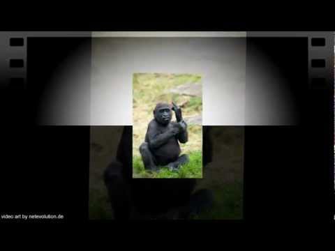 Immobilien Kauf Stuttgart - Ihr Weg zum Immobilien-Kauf Stuttgart