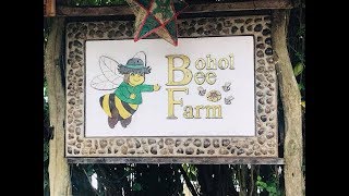 BEE FARM  BOHOL  PHILIPPINES Expat