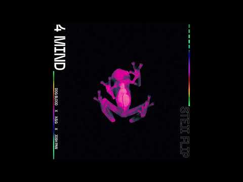 Dog Blood x josh pan x X&G - 4 MIND (steji flip)