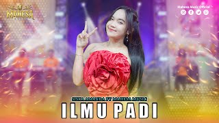 Download lagu SISKA AMANDA - ILMU PADI I Mahesa Music mp3 Download lagu SISKA AMANDA - ILMU PADI I Mahesa Music mp3