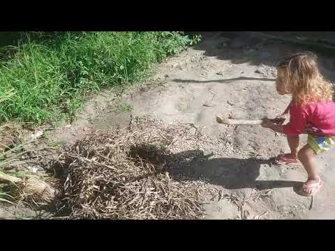 Pequena agricultora nordestina de Apora BA.
