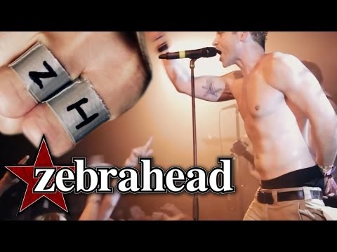 Zebrahead - I'm Just Here For The Free Beer (Official Live Video)