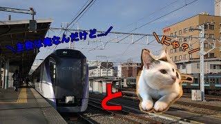 【ゆっくり実況鉄道旅】ほろ酔い長距離片道切符一人旅♪　E353と猫　1号車