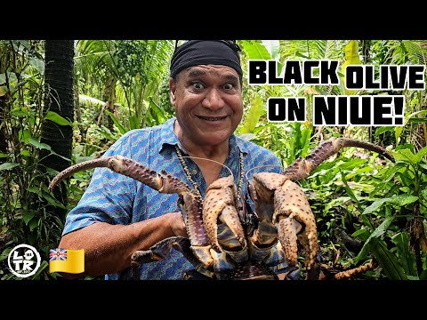 Black Olive Meets LOTR-NI: Epic Day with Australia’s Top Indigenous Chef, Mark Olive!