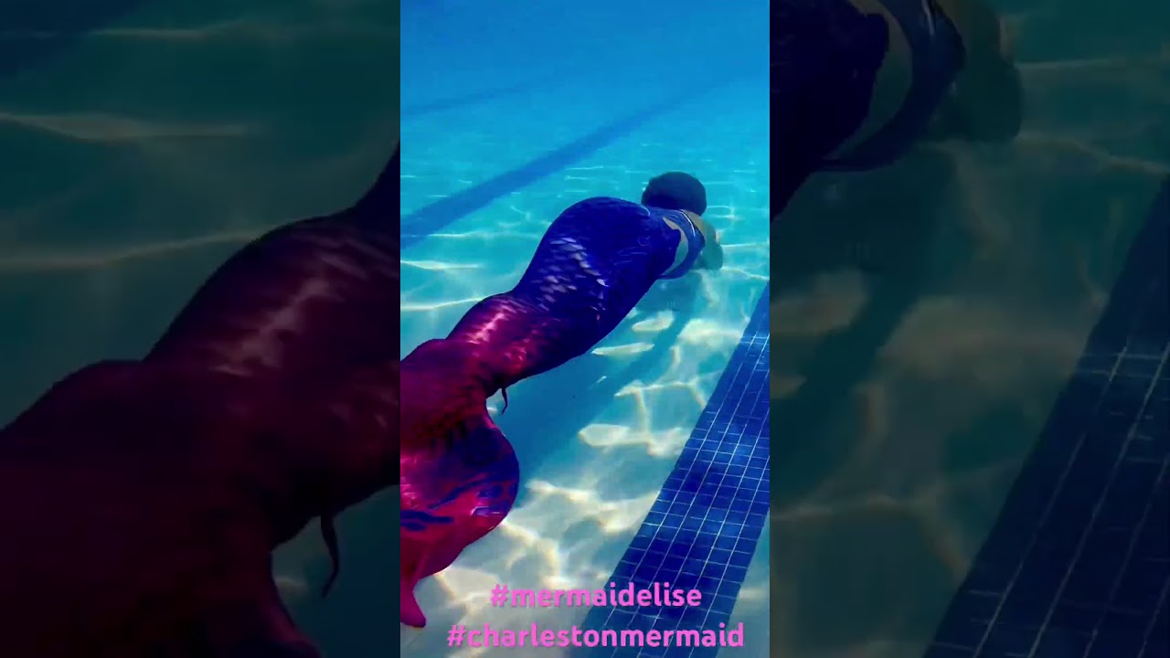 Promotional video thumbnail 4 for Mermaid Elise - Charleston Events