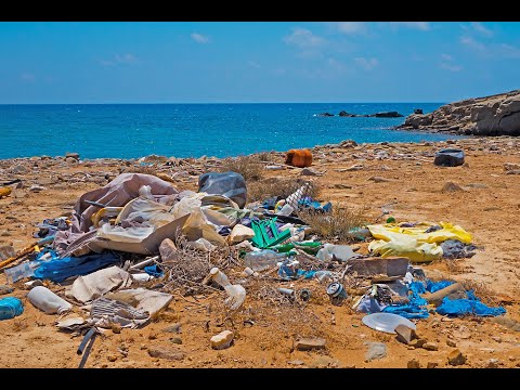 The Anthropocene - Planetary Crises and the Age of Humans