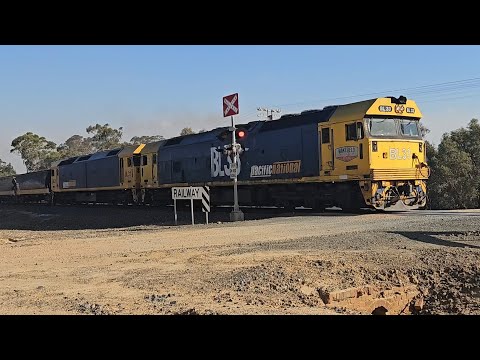 7731V PN empty grain (BL33, BL31), Geelong to Dimboola, 1810, 17/12/24, Great Western VIC