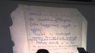 11-[Motor] Dr.Nagat 20-3-2016