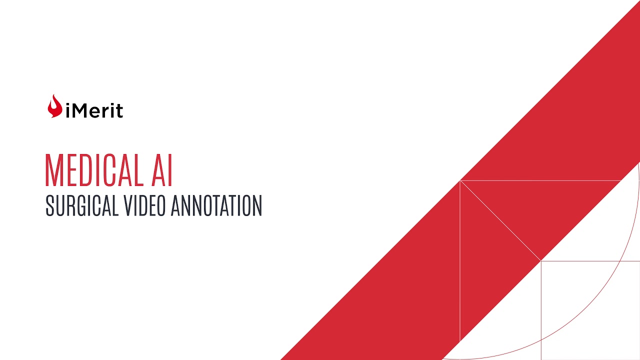 USE CASE: Medical AI - Surgical Video Annotation
