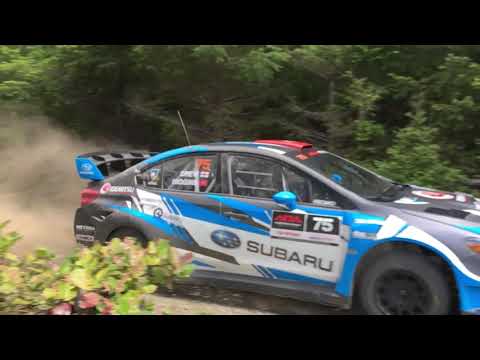 David Higgins Rally Olympus 2018 SS02 Wildcat