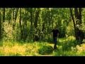 Kelly Johnson -- Can't Believe (I'm Falling In Love!)