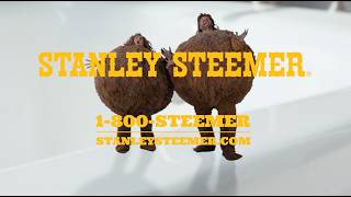 Stanley Steemer 🧽 “The Dirt Balls Love Tile and Grout”