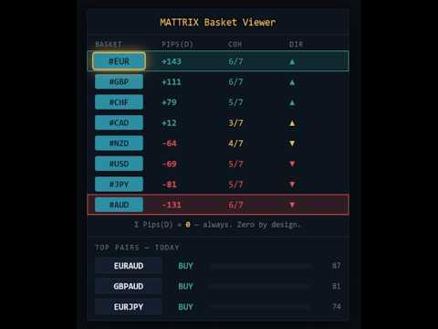 Video Mattrix Basket Viewer