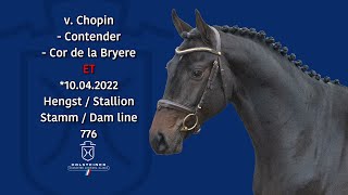 Video von Chocotent VA