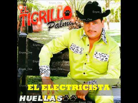 El tigrillo palma-El Electricista