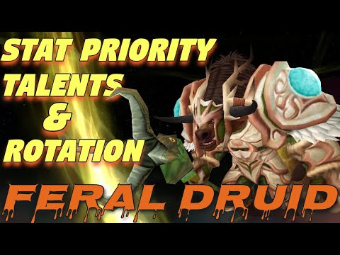 Feral Druid Stat Prio
