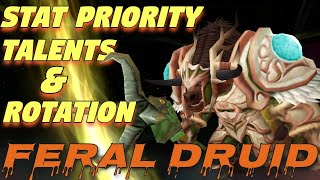 TBC Feral Druid PvE QUICK Guide! | Stat Priority, Talents, and Single Target DPS Rotation!