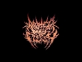 Abated Mass of Flesh - Violence (Official Lyric ...