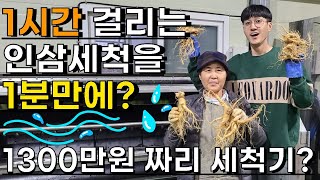 60배 더 빠른 인삼세척, 이 세척기로 해보세요