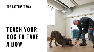 Teach your dog to take a bow | The Battersea Way