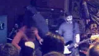 CHAMPION the decline seattle straight edge