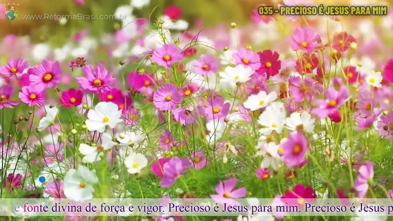 Vídeo: 035 - PRECIOSO É JESUS PARA MIM (Novo Hinário Estilo Karaokê)