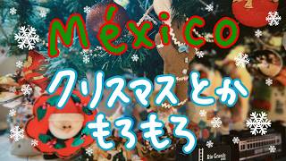 【Vlog】12月の色々【メキシコ】🇲🇽