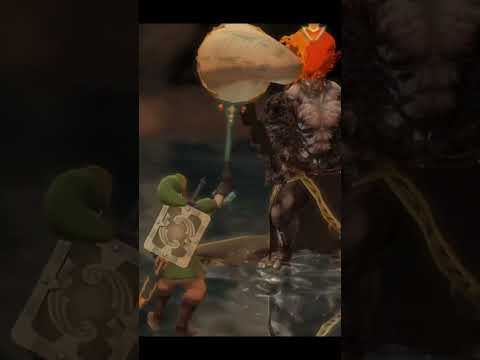Demise’s Obsession For The Bug Net: Skyward Sword HD #gaming #skywardsword #shorts