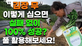 김장 무, 풀 활용해서 이렇게 심어보세요 100% 실패없이 성공? 발아율 100% Kimchi-making …