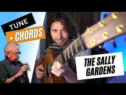 How To Play The Sally Gardens Reel - Irish Guitar Backing Tutorial