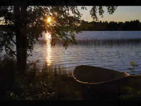 Willie Nelson ~  A Moment of Forever ~~