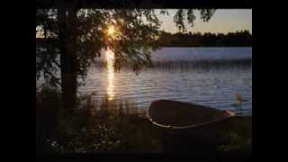 Willie Nelson ~  Moment of Forever ~~