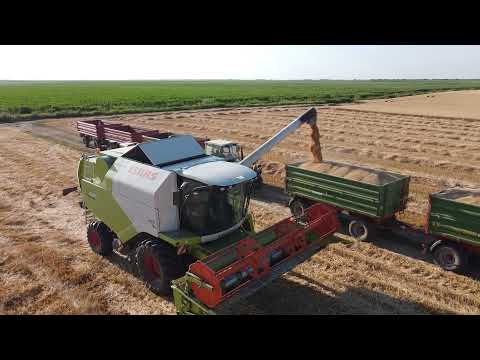 Wheat harvest in Serbia 2021/Žetva pšenice 2021.