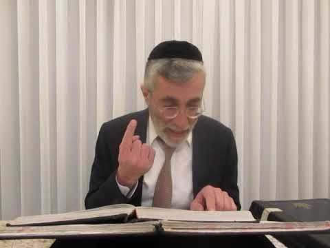 הרב יהושע ביבי - תשפ"ו - פסח - שיעור מס'' 006 - נה''ש דף מ''א סוע''א וע''ב בהבנת תכ''ב, ובתו''ח