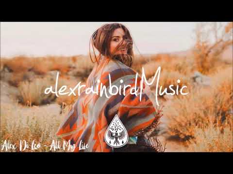 Wild And Free 🎒🏕️   An Indie Pop Folk “Adventure” Playlist