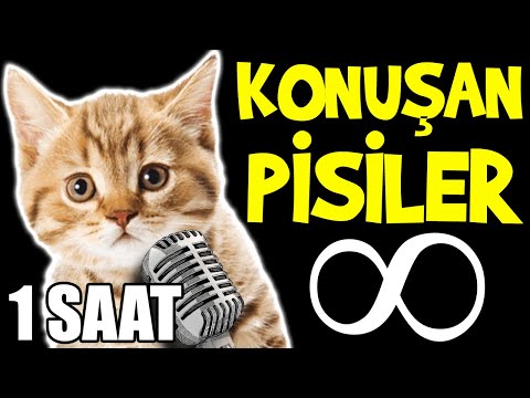 Konuşan Pisiler ∞ (Sonsuz) 1 Saat - En Komik Kedi Videoları