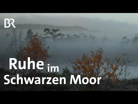 Unberührte Landschaft: Das Schwarze Moor in der Rhön | Zwischen Spessart und Karwendel | Kurz-Doku