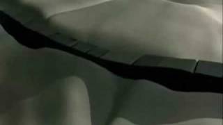 Cynic - Space For This