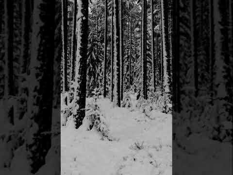 Svardun - Boreal Forests