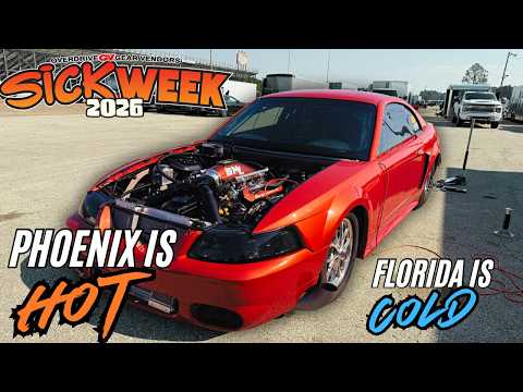 Sick Week From Confidence to Chaos in One Pass