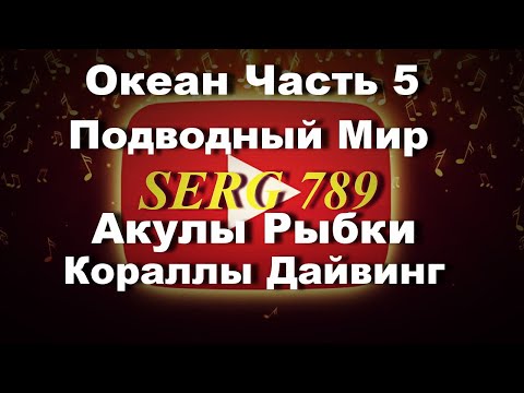 🔴Океан Подводный мир Акулы Рыбки Дайвинг(Часть 5)✅
