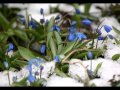 Антонио Вивальди (Времена года) - Весна 