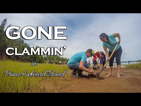 Gone Clammin' in PEI