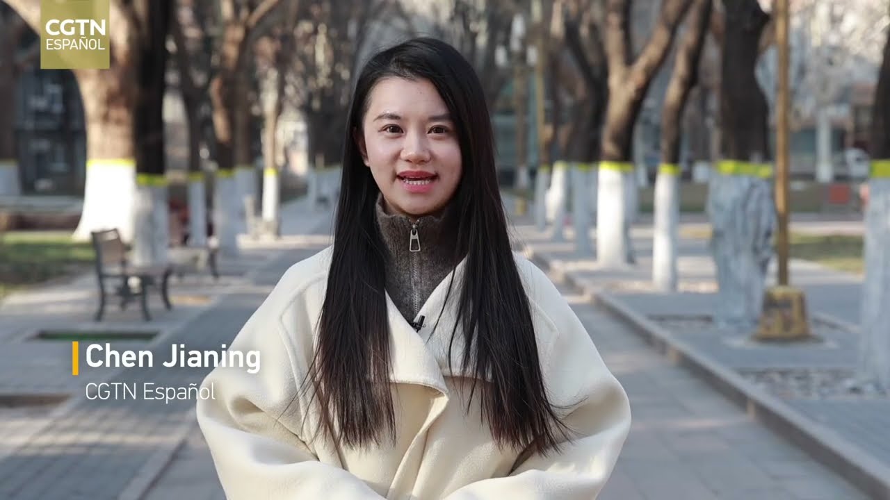 Cuando las civilizaciones se conectan con un verso